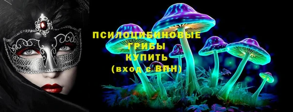 PSILOCYBIN Бородино